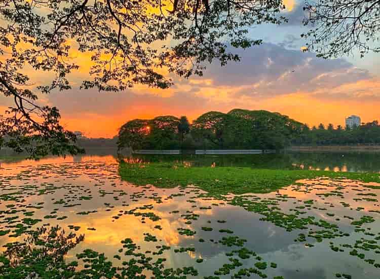 Ulsoor Lake